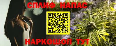 стаф Моздок